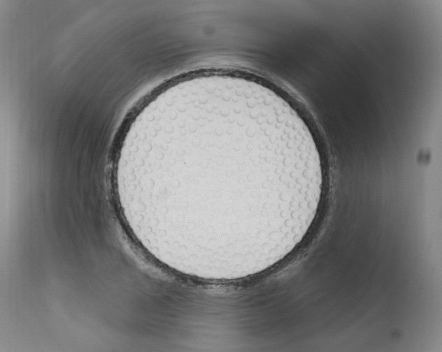 X0000110901029200907301602