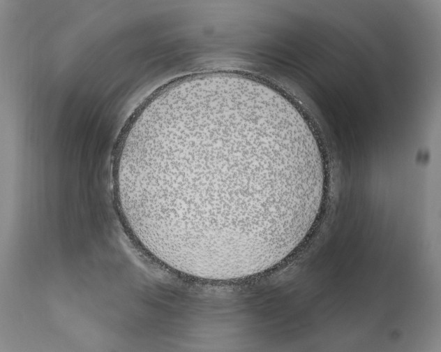 X0000110901031200907301602