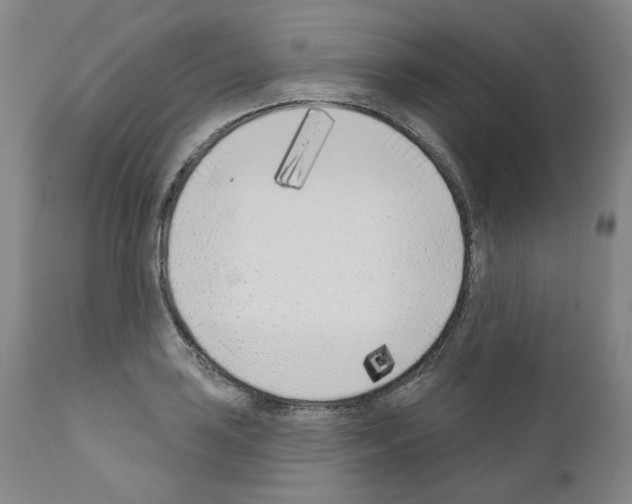 X0000110901035200907301602