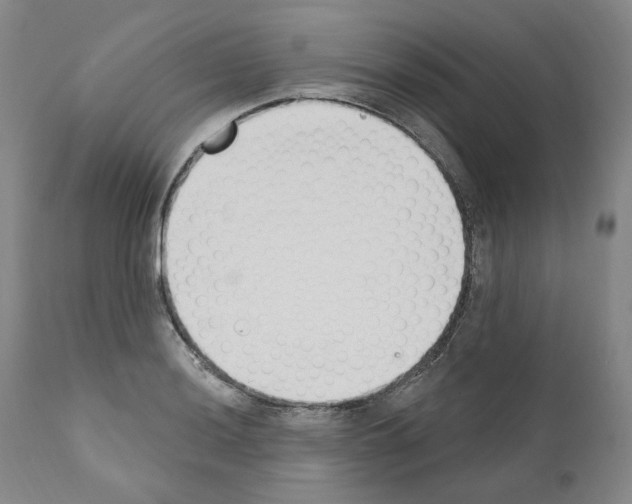 X0000110901036200907301602