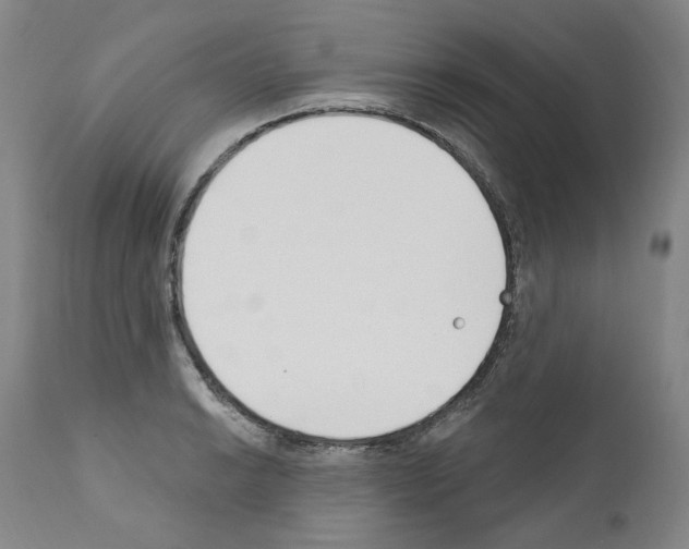 X0000110901038200907301602