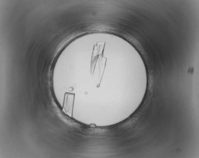 X0000110901039200907301602