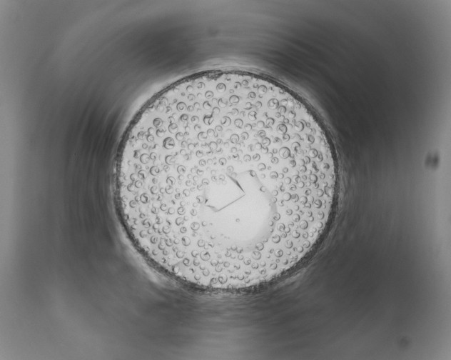 X0000110901040200907301602