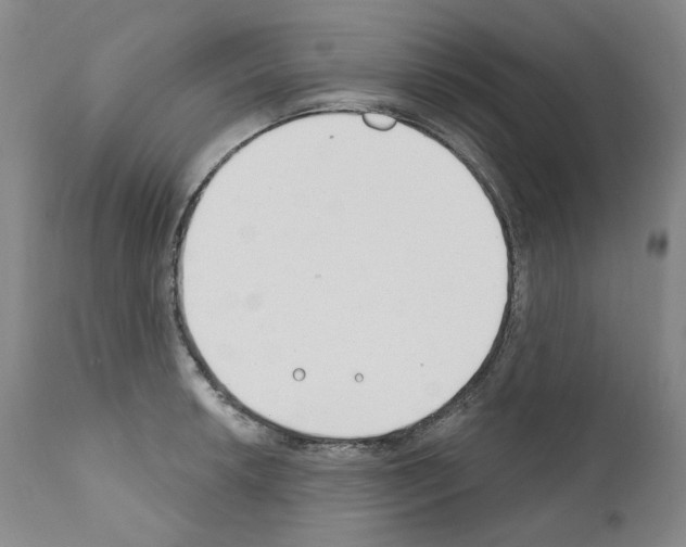 X0000110901042200907301602