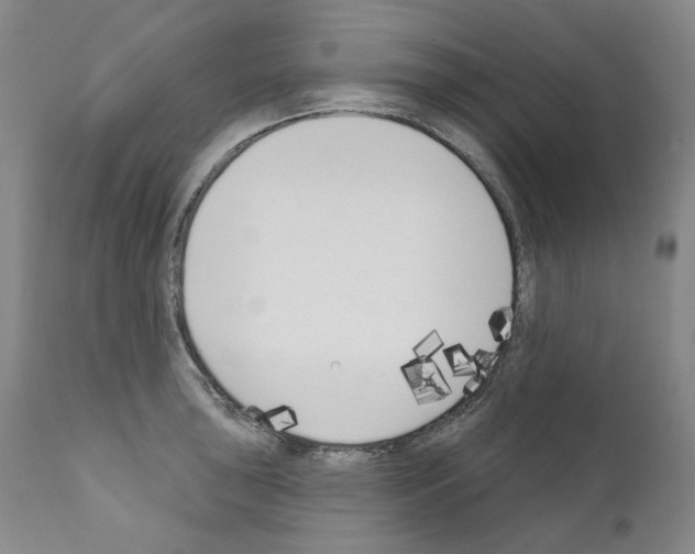 X0000110901043200907301602