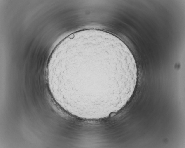 X0000110901044200907301602