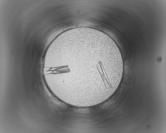 X0000110901047200907301602