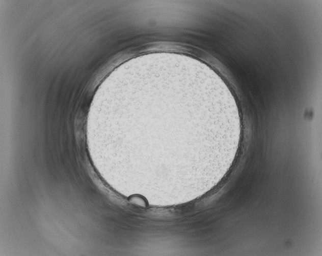 X0000110901049200907301602