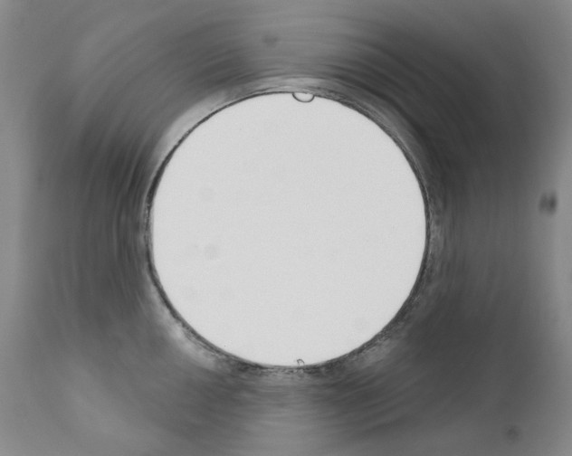 X0000110901050200907301602