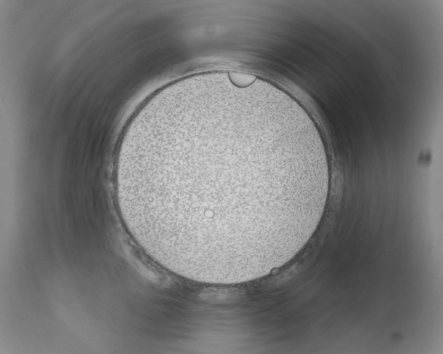 X0000110901051200907301602