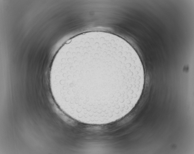 X0000110901054200907301602