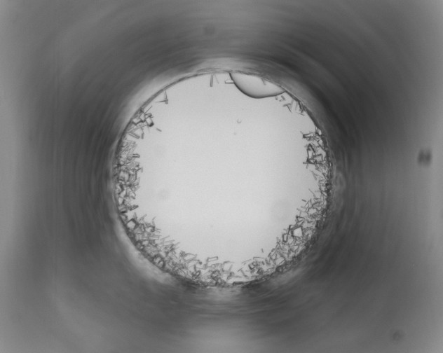 X0000110901055200907301602