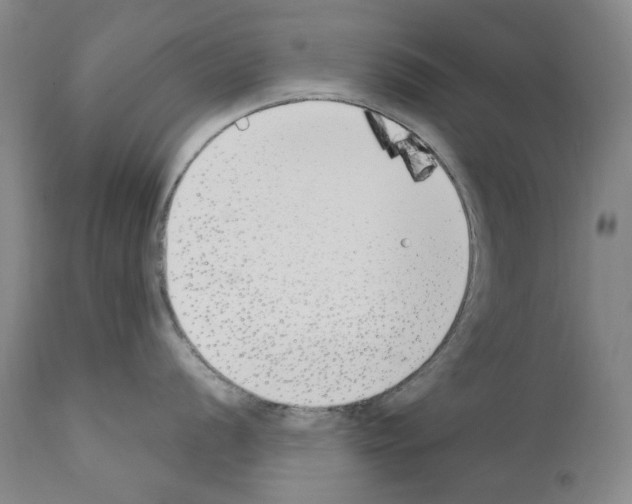 X0000110901056200907301602