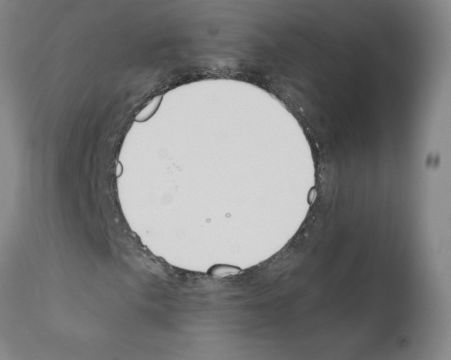 X0000110901057200907301601