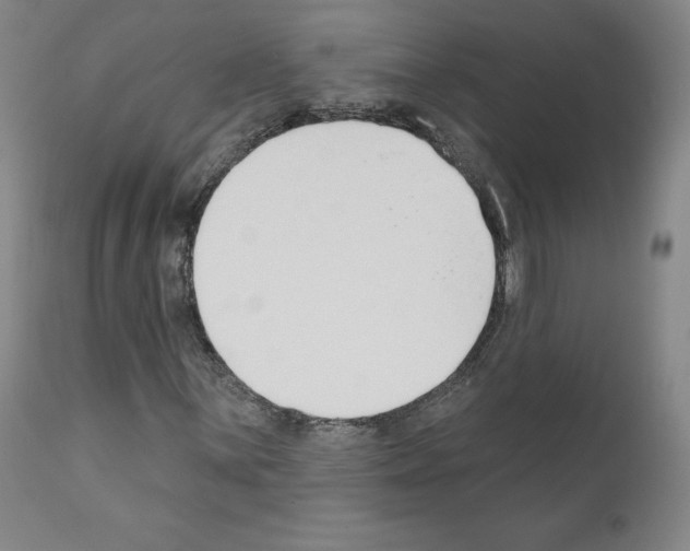 X0000110901059200907301601