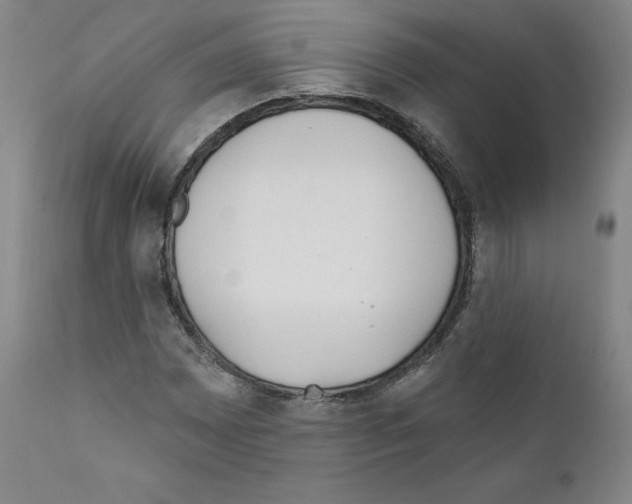 X0000110901065200907301601