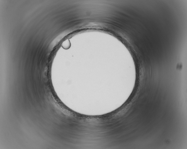 X0000110901066200907301601