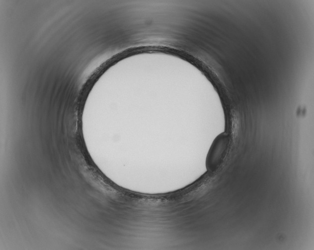 X0000110901069200907301601