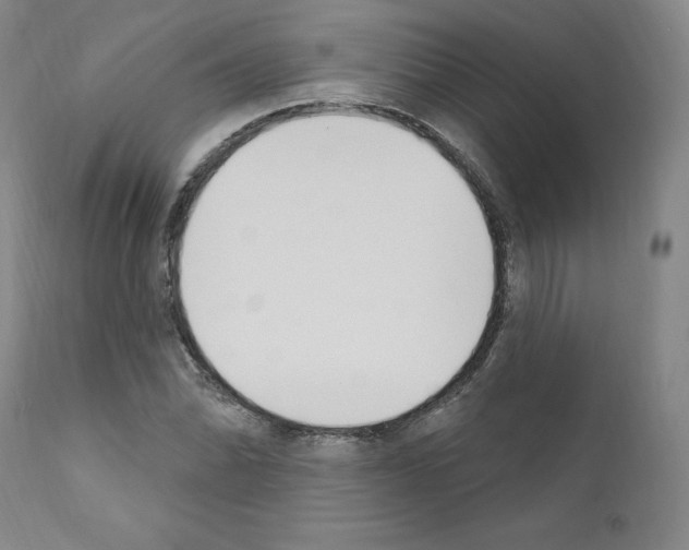 X0000110901070200907301601