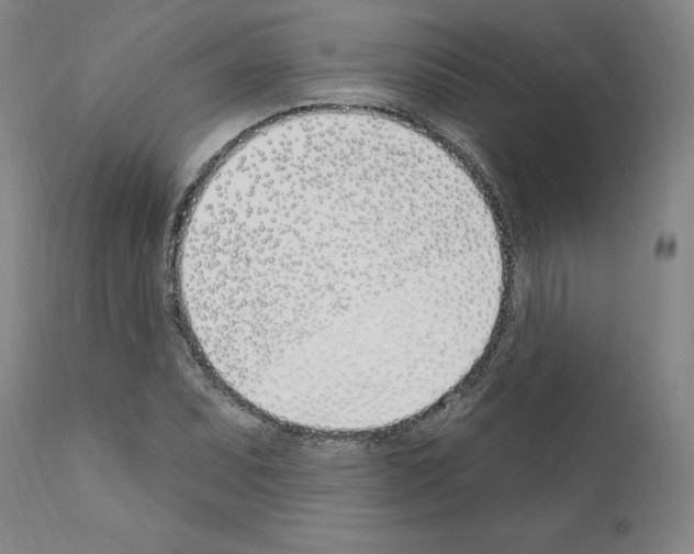 X0000110901071200907301601