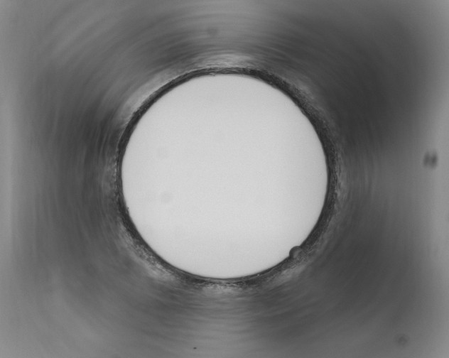 X0000110901073200907301601