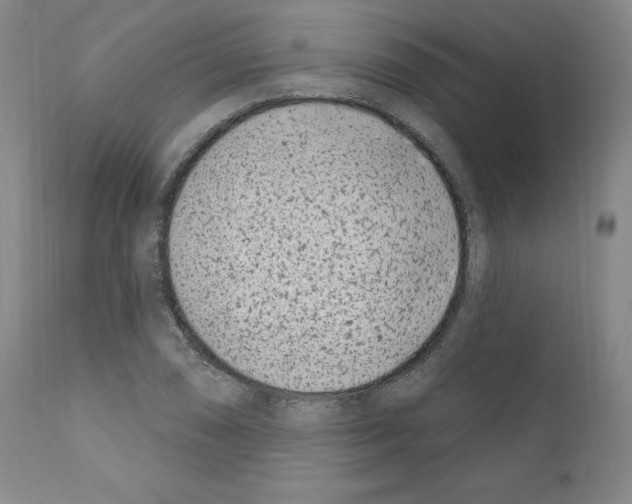 X0000110901074200907301601