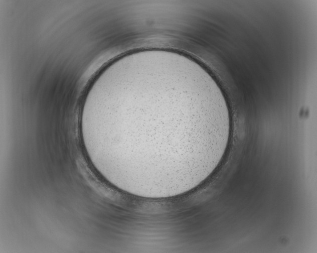 X0000110901078200907301601