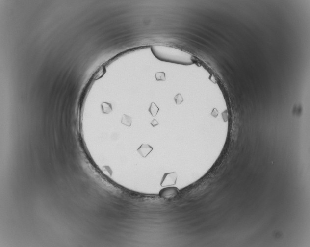 X0000110901080200907301601