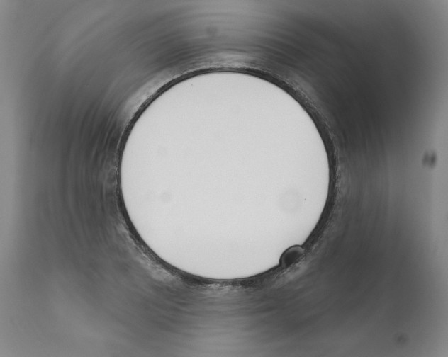 X0000110901081200907301601