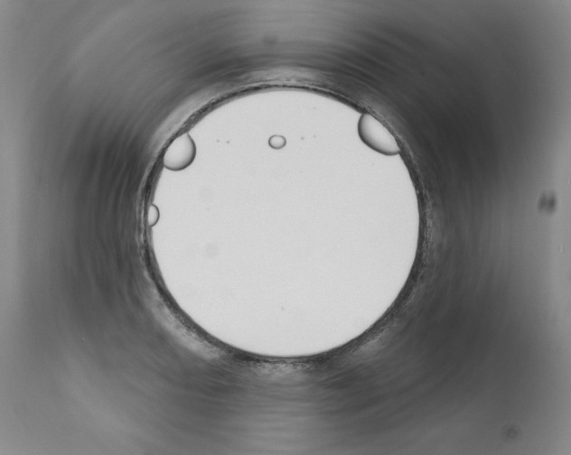 X0000110901082200907301601