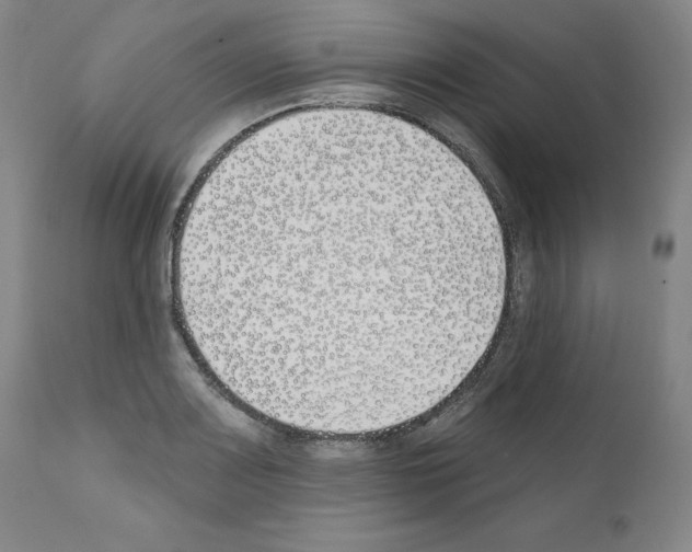 X0000110901083200907301601