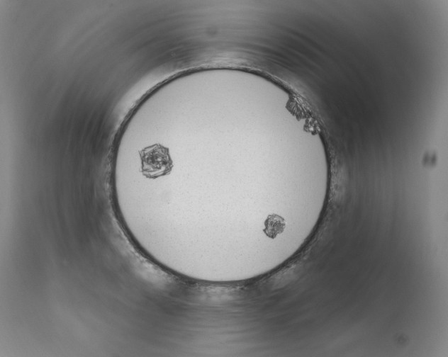 X0000110901086200907301601