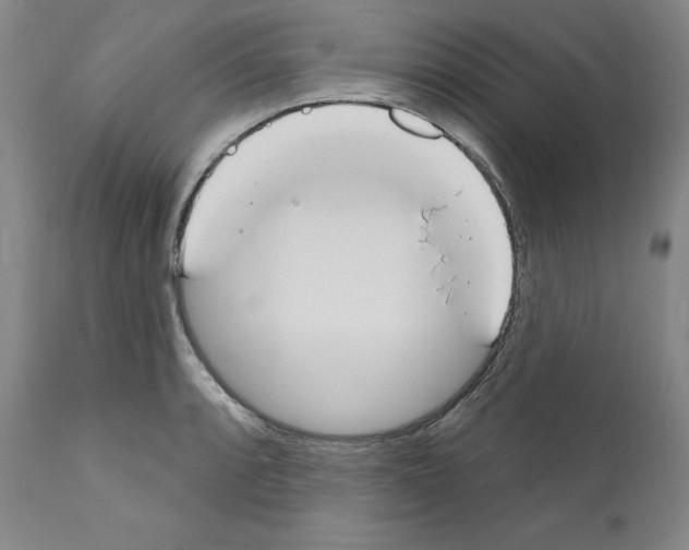 X0000110901088200907301601