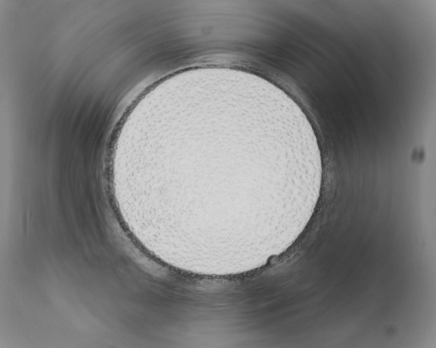 X0000110901091200907301601