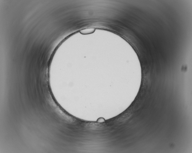 X0000110901092200907301601