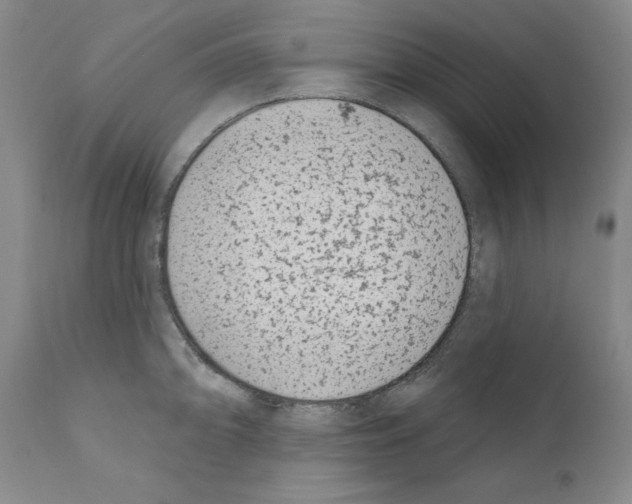 X0000110901094200907301601