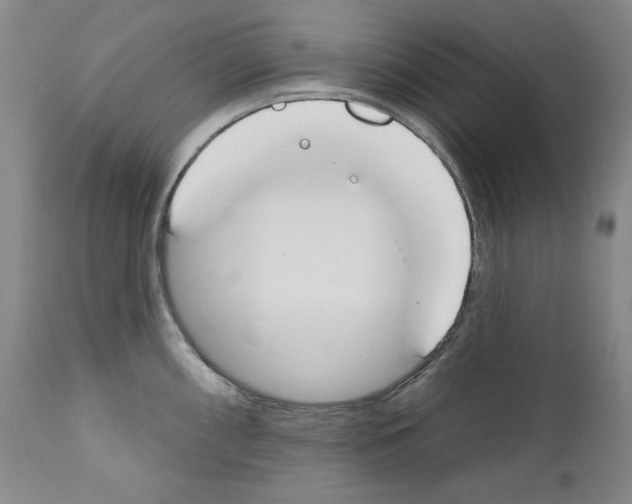 X0000110901098200907301601