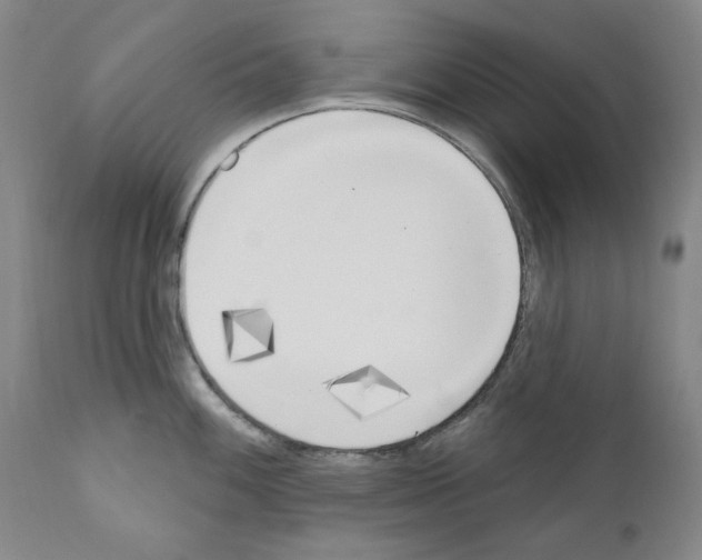 X0000110901100200907301601