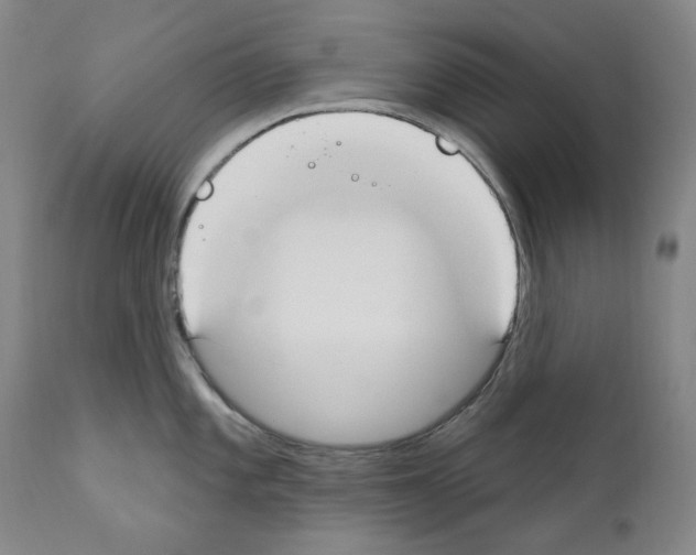 X0000110901101200907301601