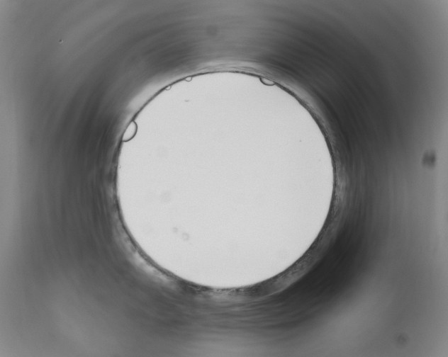 X0000110901102200907301601