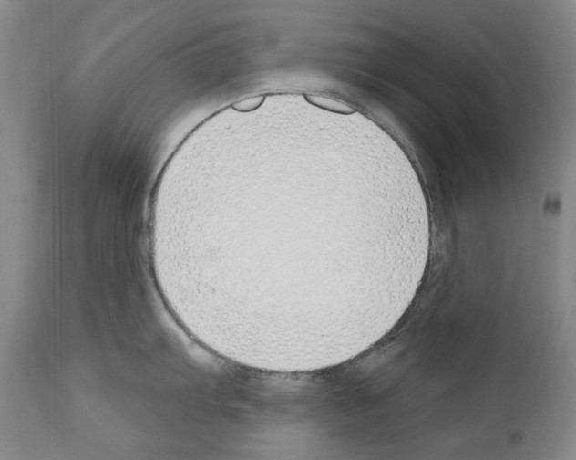 X0000110901103200907301601