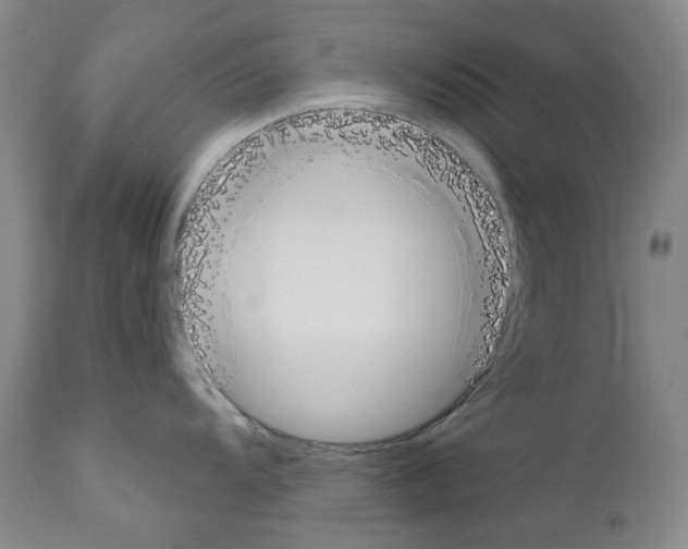 X0000110901104200907301601