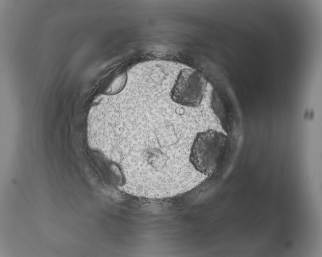 X0000110901105200907301600