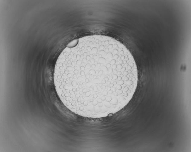 X0000110901106200907301600