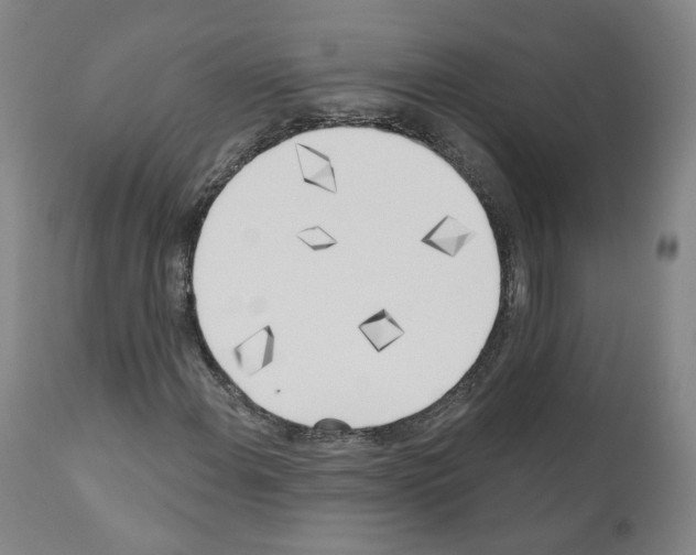 X0000110901108200907301600