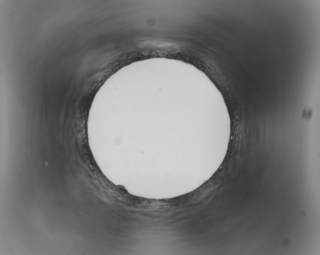 X0000110901109200907301600