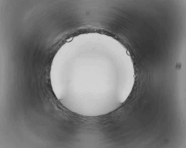 X0000110901110200907301600