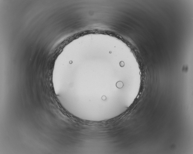 X0000110901112200907301600