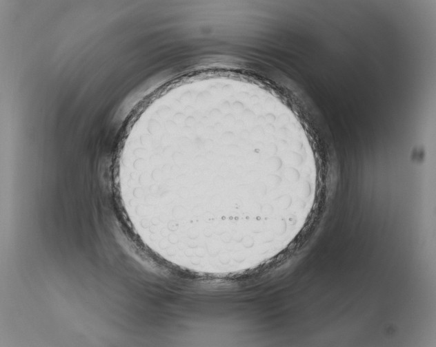 X0000110901113200907301600