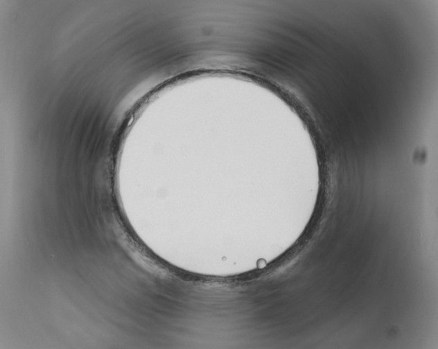 X0000110901114200907301600